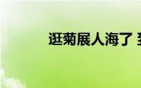 逛菊展人海了 到底什么情况嘞