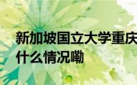 新加坡国立大学重庆研究院院长王家功 到底什么情况嘞