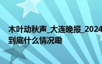 木叶动秋声_大连晚报_2024年10月31日_微头条-今日头条 到底什么情况嘞