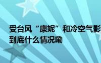 受台风“康妮”和冷空气影响 上海发布台风蓝色预警信号 到底什么情况嘞