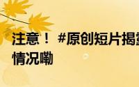 注意！ #原创短片揭露杀猪盘诈骗# 到底什么情况嘞