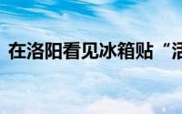 在洛阳看见冰箱贴“活”了 到底什么情况嘞