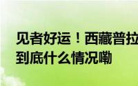 见者好运！西藏普拉喜琼峰现壮美日照金山 到底什么情况嘞