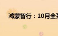 鸿蒙智行：10月全系交付新车41643辆