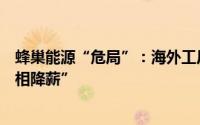 蜂巢能源“危局”：海外工厂搁浅多位管理层离职员工“变相降薪”