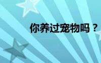 你养过宠物吗？ 到底什么情况嘞