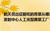 航天员出征前吃的青菜从哪来？中国之声记者探访酒泉卫星发射中心人工光型蔬菜工厂→ 到底什么情况嘞
