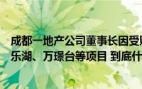 成都一地产公司董事长因受贿、滥用职权被公诉曾开发合谊乐湖、万璟台等项目 到底什么情况嘞