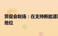 贸促会赵扬：在支持新能源汽车基础设施方面中国处于领先地位
