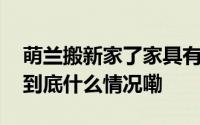 萌兰搬新家了家具有蹦蹦床、太空舱、滑梯 到底什么情况嘞