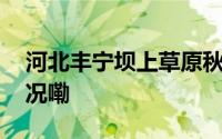 河北丰宁坝上草原秋景斑斓如画 到底什么情况嘞