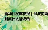 新华社权威快报｜劈波向南！中国第41次南极考察队出征 到底什么情况嘞