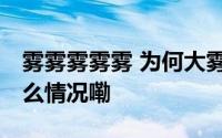 雾雾雾雾雾 为何大雾总是在夜间出现 到底什么情况嘞