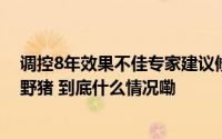 调控8年效果不佳专家建议修法允许食用经检疫合格的猎捕野猪 到底什么情况嘞
