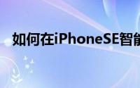 如何在iPhoneSE智能手机上使用苹果Pay