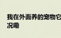 我在外面养的宠物它养了个宠物 到底什么情况嘞