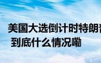 美国大选倒计时特朗普和哈里斯发起短信轰炸 到底什么情况嘞