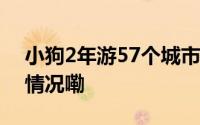 小狗2年游57个城市获吉尼斯证书 到底什么情况嘞
