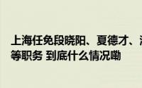 上海任免段晓阳、夏德才、潘波、徐阳、尼玛卓嘎、陈国忠等职务 到底什么情况嘞