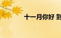 十一月你好 到底什么情况嘞