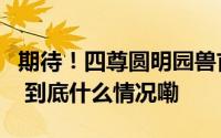 期待！四尊圆明园兽首铜像原件今日亮相澳门 到底什么情况嘞