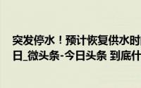 突发停水！预计恢复供水时间→_大连发布_2024年11月02日_微头条-今日头条 到底什么情况嘞
