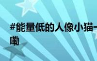 #能量低的人像小猫一样生活# 到底什么情况嘞