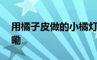 用橘子皮做的小橘灯有多可爱 到底什么情况嘞