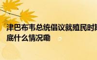 津巴布韦总统倡议就殖民时期遭受不公正待遇向英国索赔 到底什么情况嘞