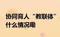 协同育人“教联体”2027年县域全覆盖 到底什么情况嘞