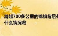 跨越700多公里的锦旗背后有一段“双向奔赴”的故事 到底什么情况嘞