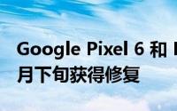 Google Pixel 6 和 Pixel 6 Pro 手机将于 1 月下旬获得修复