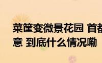 菜筐变微景花园 首都花园城市建设的N种创意 到底什么情况嘞