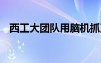 西工大团队用脑机抓豆角 到底什么情况嘞
