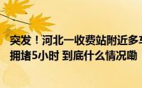 突发！河北一收费站附近多车连撞网友称大雾能见度仅10米拥堵5小时 到底什么情况嘞