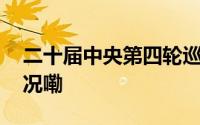 二十届中央第四轮巡视开始进驻 到底什么情况嘞