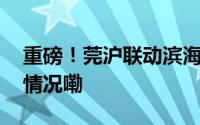 重磅！莞沪联动滨海湾新区担大任 到底什么情况嘞