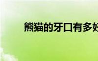 熊猫的牙口有多好 到底什么情况嘞