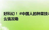 好科幻！ #中国人的种菜技术已是nextlevel# [哆啦 到底什么情况嘞