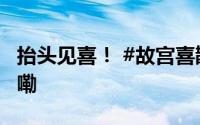 抬头见喜！ #故宫喜鹊送好运# 到底什么情况嘞