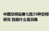 中国空间站第七批55种空间科学实验样品返回并交付科学家研究 到底什么情况嘞