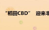 “稻田CBD”  迎来丰收季 到底什么情况嘞