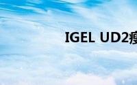 IGEL UD2瘦客户端评测