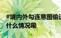 #境内外勾连意图偷运稀有金属镓出境# 到底什么情况嘞