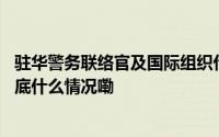 驻华警务联络官及国际组织代表点赞公安部定点帮扶成果 到底什么情况嘞