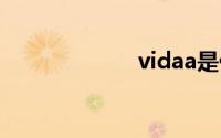 vidaa是什么意思