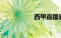 西甲直播爱奇艺免费
