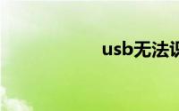 usb无法识别怎么办