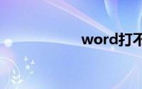 word打不开怎么办