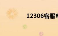 12306客服电话人工服务